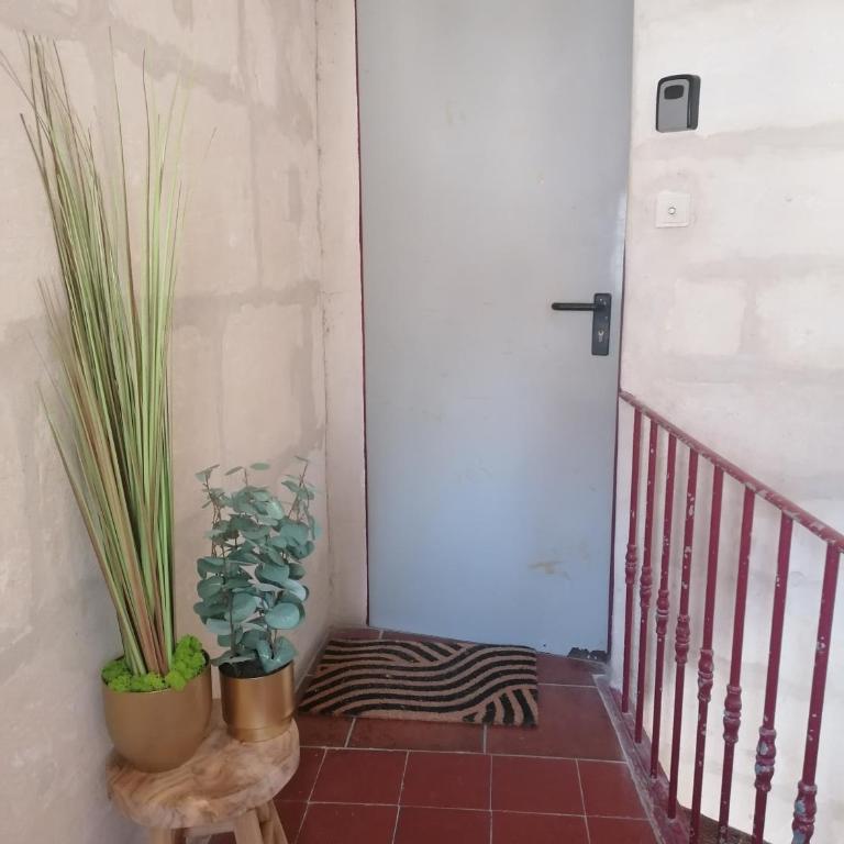 Studio mezzanine en hyper centre - Appartement 1 Chambre - 26