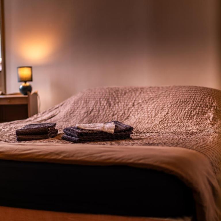 L'Appart au cœur d'Amiens - Appartement 1 Chambre - 18