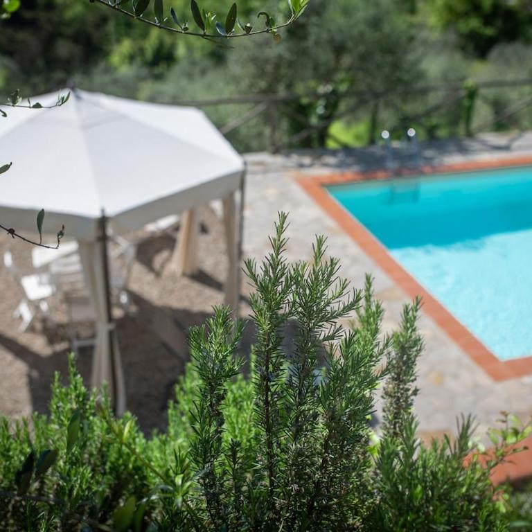 CASA DEGLI ULIVI - COTTAGE WITH SWIMMING POOL - Casa con 2 Camere da Letto - 23