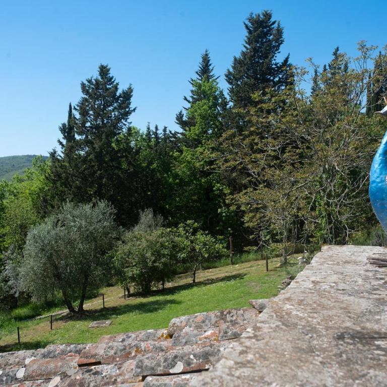 CASA DEGLI ULIVI - COTTAGE WITH SWIMMING POOL - Casa con 2 Camere da Letto - 6