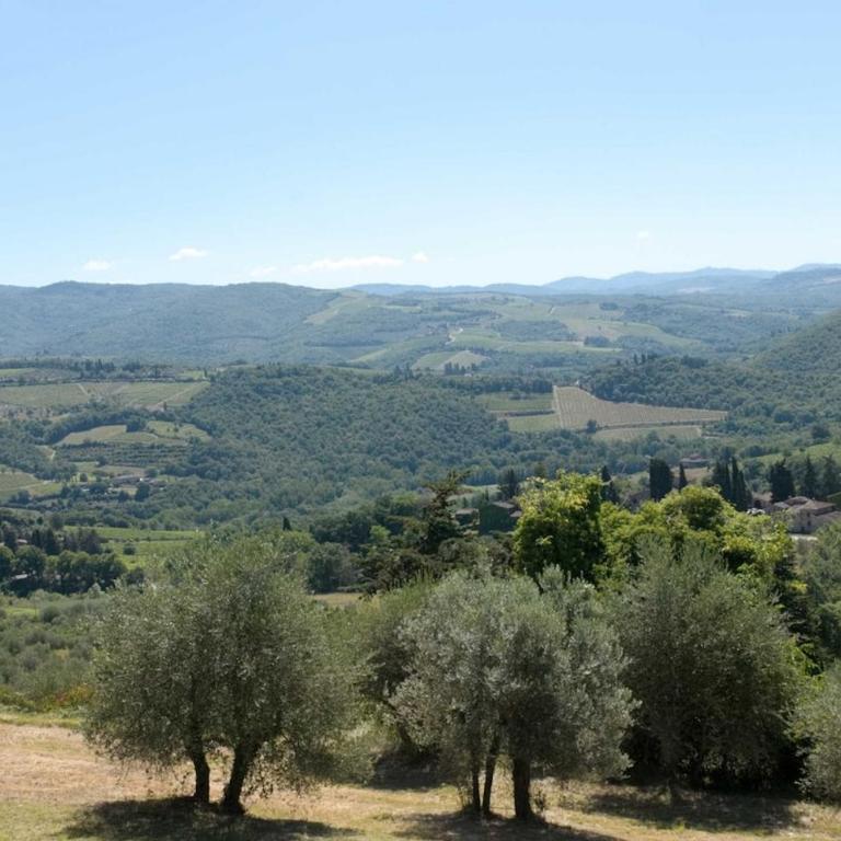 CASA DEGLI ULIVI - COTTAGE WITH SWIMMING POOL - Casa con 2 Camere da Letto - 4