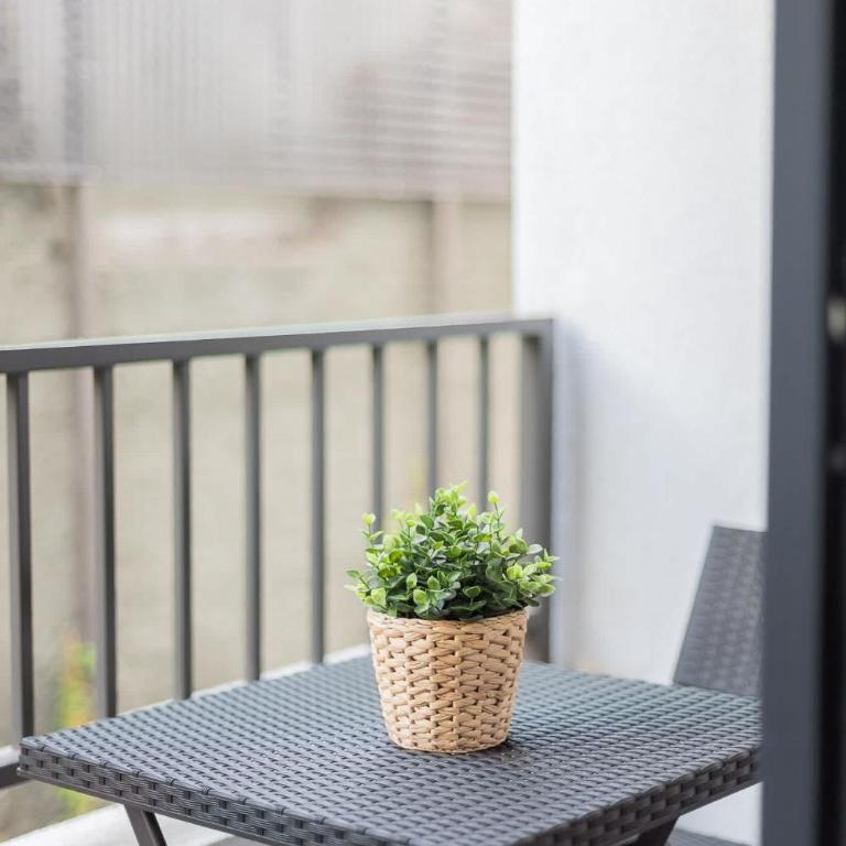 Experience Santiago 1B 1B in Style - Apartamento - 5