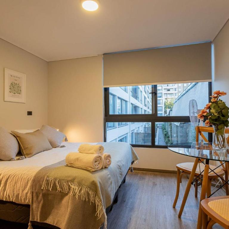 Comfort & Convenience Downtown Santiago Studio - Estudio - 1