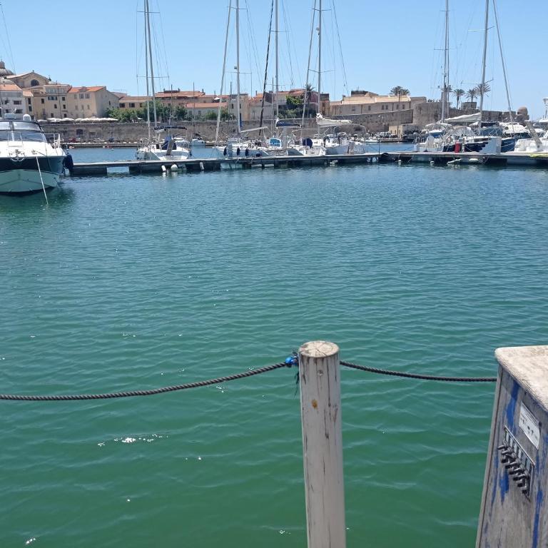 Houseboat BlueSeaDream Dolphin Casetta Galleggiante - Casa Mobile - 1