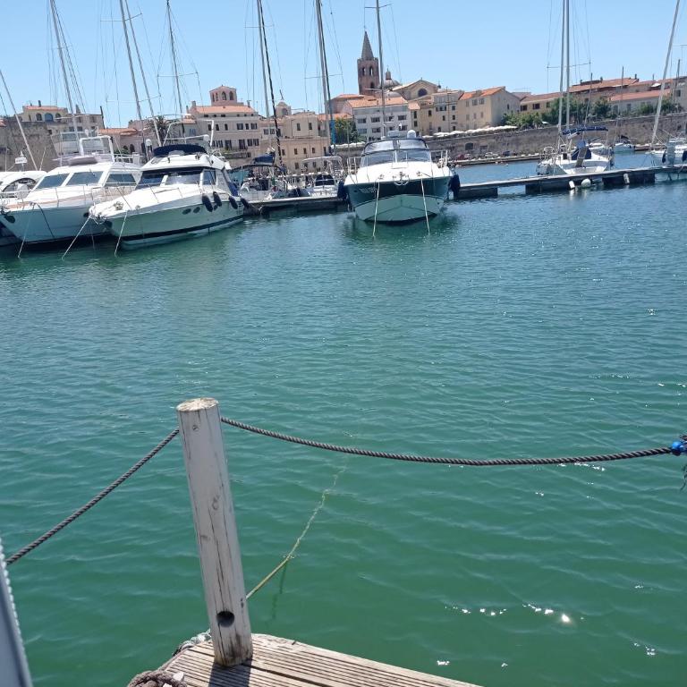 Houseboat BlueSeaDream Dolphin Casetta Galleggiante - Casa Mobile - 4