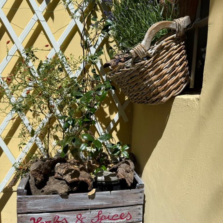 La Casa di Ringhiera - silenzioso appartamento di charme con balcone nel quadrilatero romano - Two-Bedroom Apartment - 30