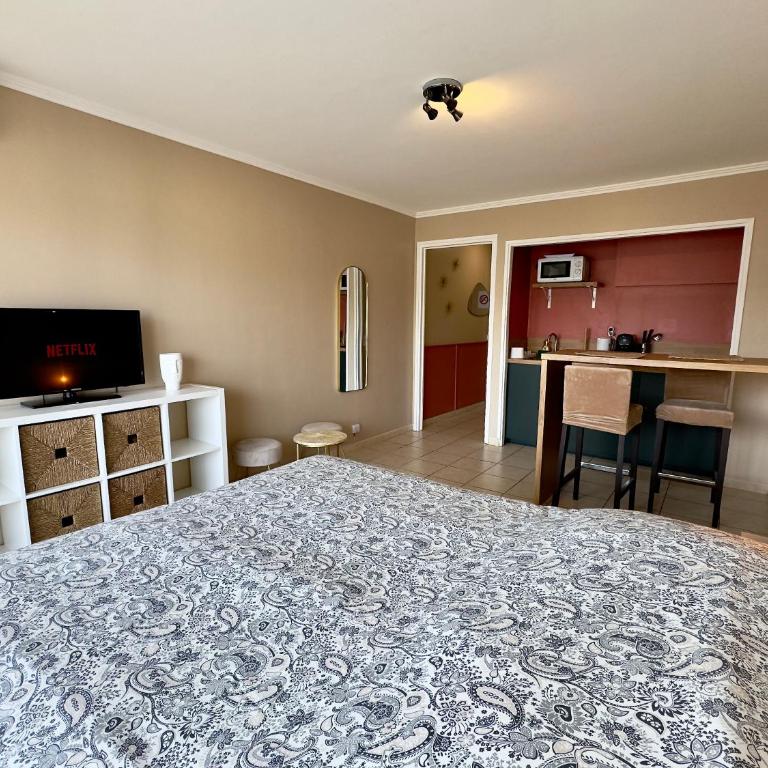Cannes Eden SCLS - Clim, Wifi, Parking - Studio - 6