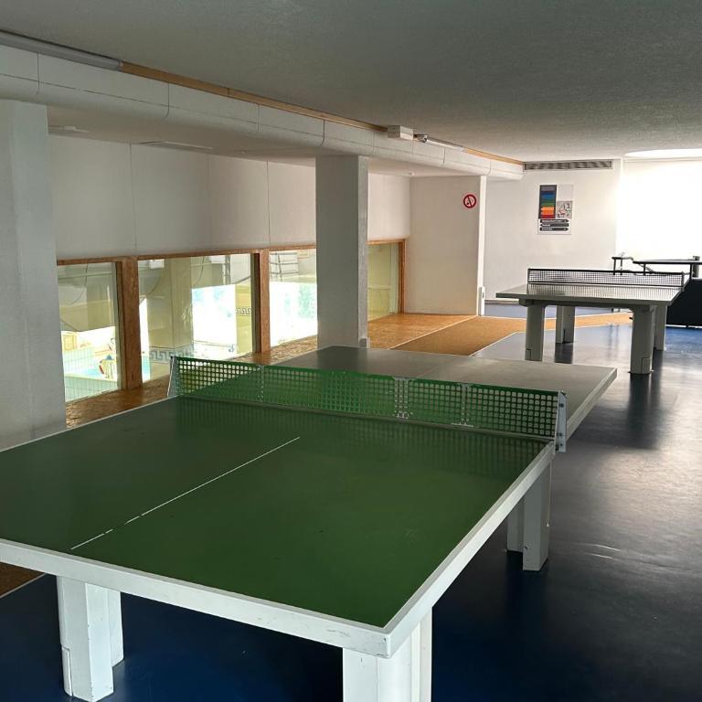 Ferienwohnung Predigtstuhl Resort - Appartamento con 1 Camera da Letto - 20