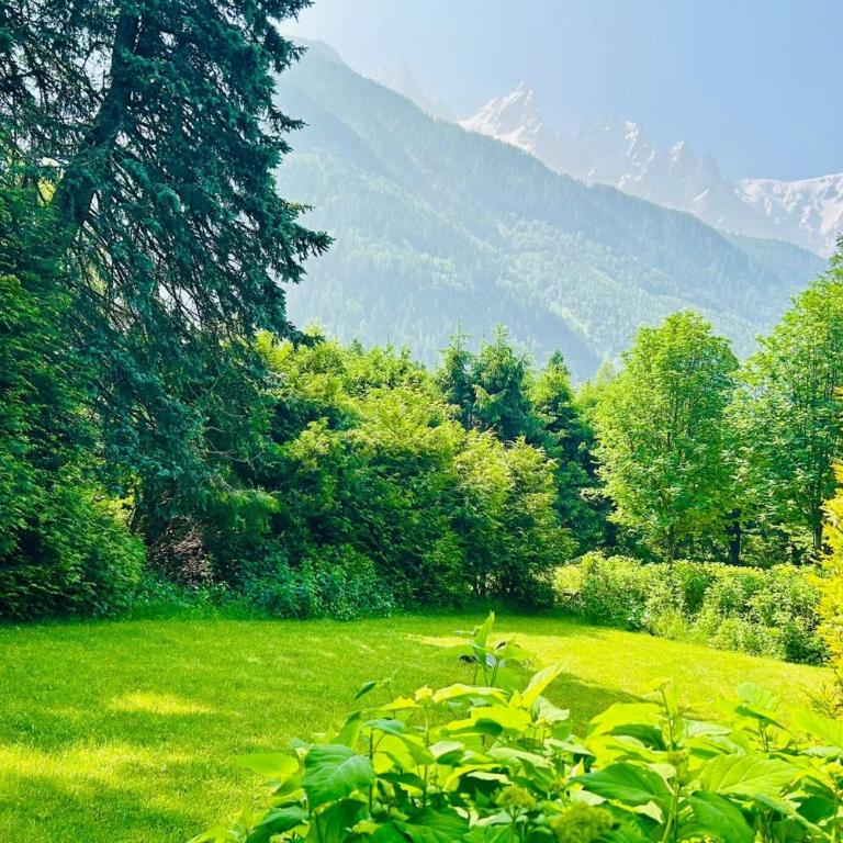 Experience Mont Blanc with your family - Chalet - 1