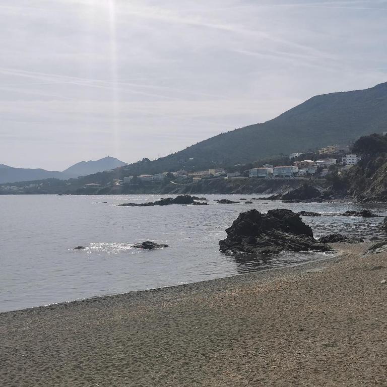 Apartamento ideal en Llançà: Terraza, parking y cerca de la playa - ES-89-87 - Apartamento - 2