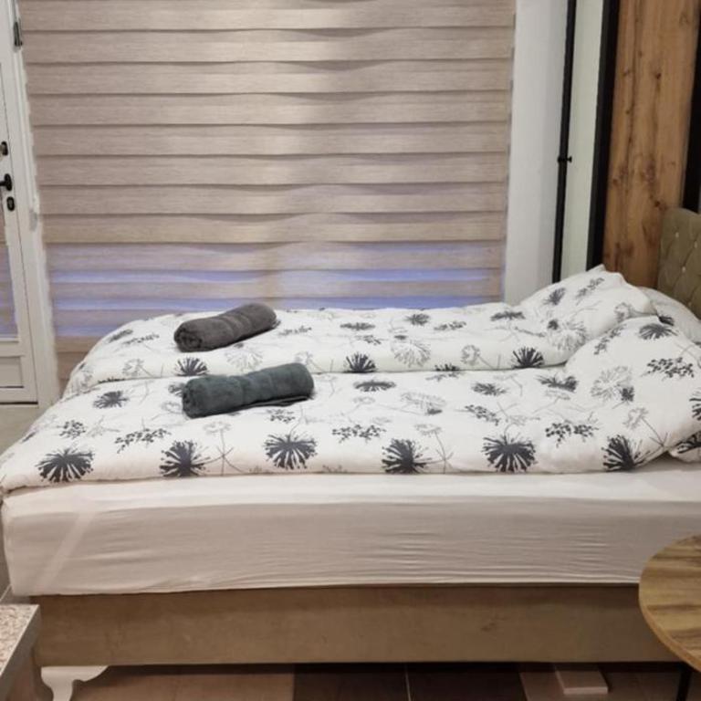 Jovanka 3 - Apartman sa 1 Spavaćom Sobom - 10