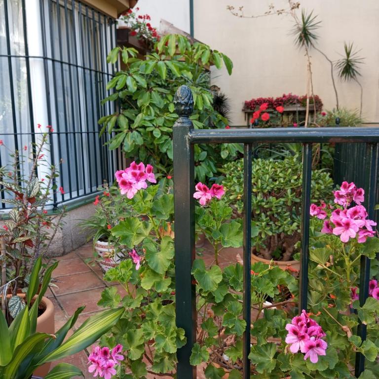 corazón de jerez edificio de 1861 - Casa de 2 dormitorios - 11