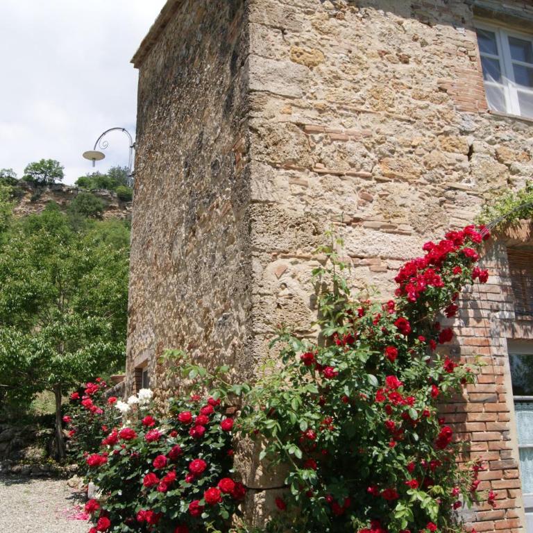 Agriturismo Le Cantine - Appartamento con Vista Giardino - 3