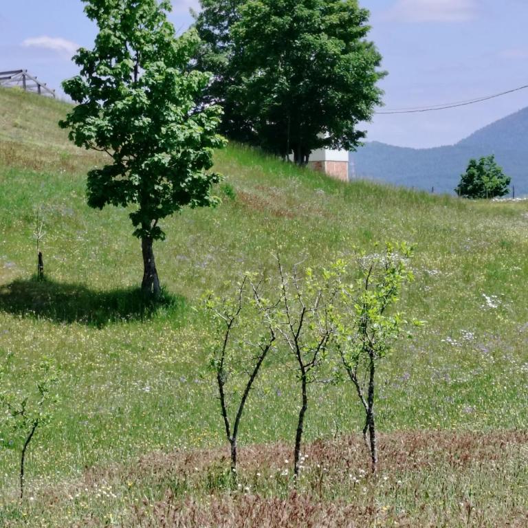 Holiday Home Apartman Aco - Two-Bedroom Apartment with Mountain View - 25