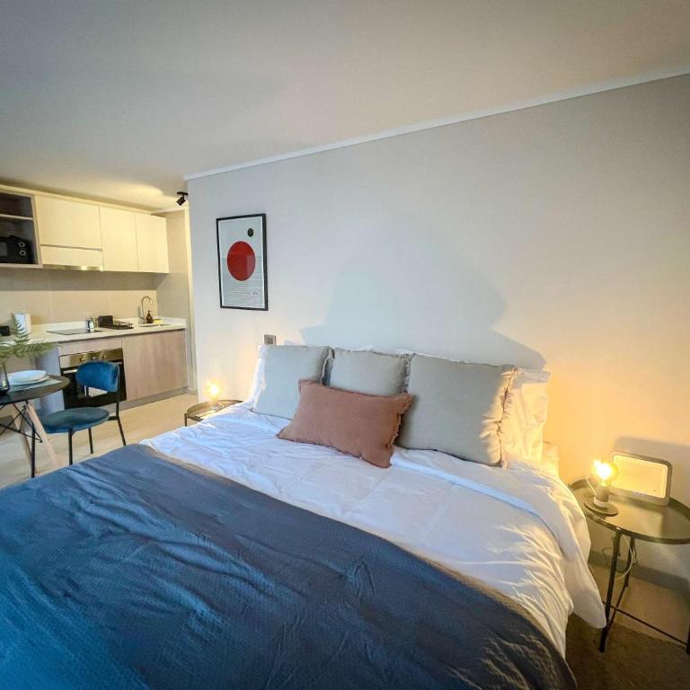 HOM I Departamento1Dl1B Metro Santa Lucia 2 PAX - Apartamento - 33
