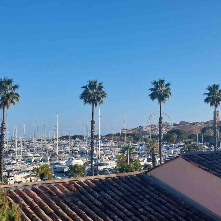 Studio with port view terrace with AC - Apartment mit 2 Schlafzimmern - 3