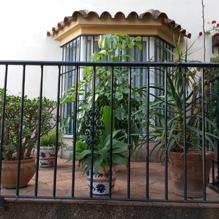 corazón de jerez edificio de 1861 - Casa de 2 dormitorios - 7