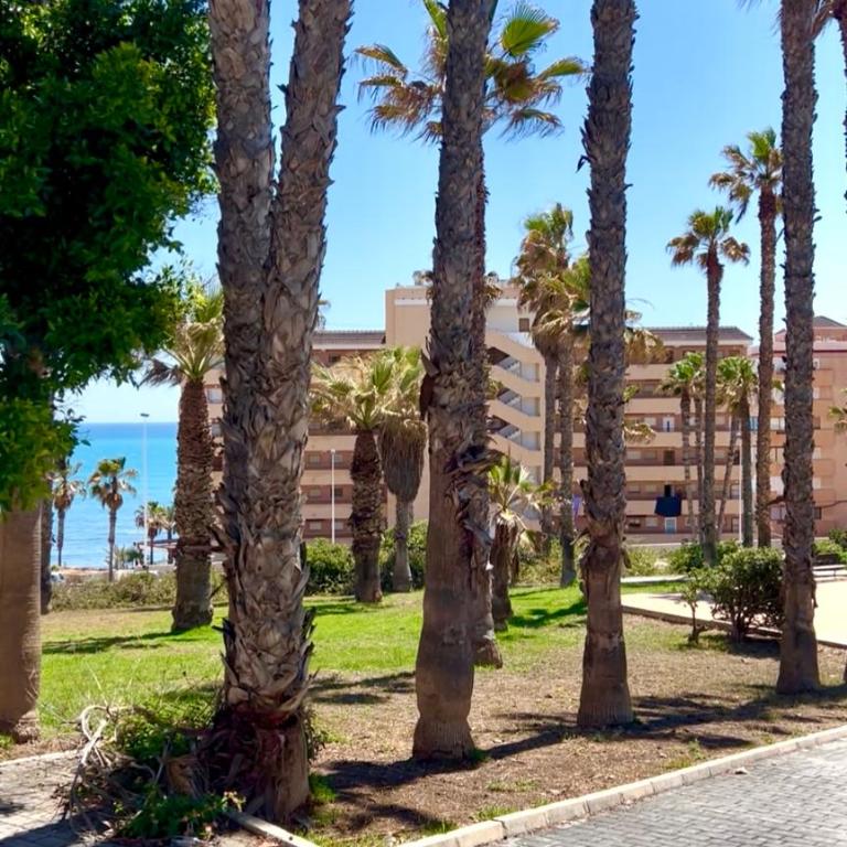 La Mata Apartment - Apartamento de 2 dormitorios - 29