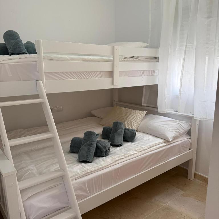 1B Barabas - Apartamento de 2 dormitorios - 12
