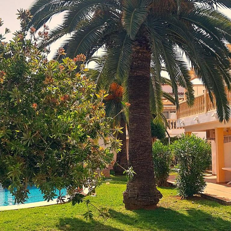 La Giralda 2 Denia Les Marines - Apartamento de 1 dormitorio - 16