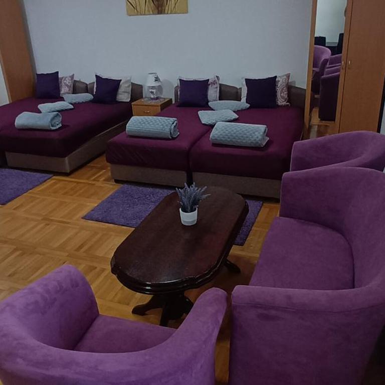 Apartman Lavanda Banja Koviljaca - Apartman sa 1 Spavaćom Sobom - 3