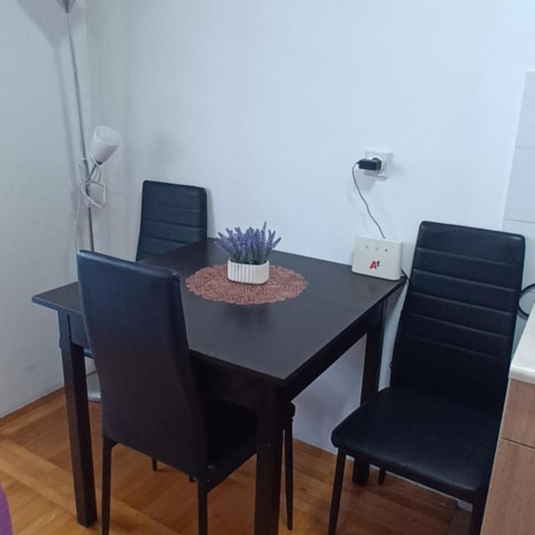 Apartman Lavanda Banja Koviljaca - Apartman sa 1 Spavaćom Sobom - 6