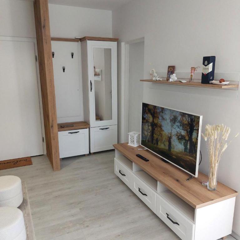 Aurora Zlatibora - One-Bedroom Apartment - 24