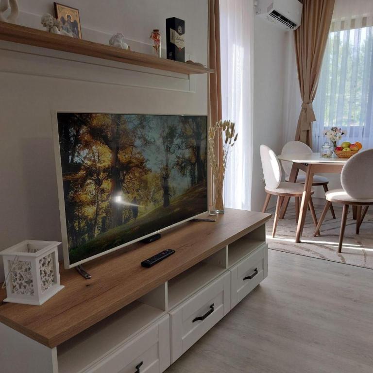 Aurora Zlatibora - One-Bedroom Apartment - 22