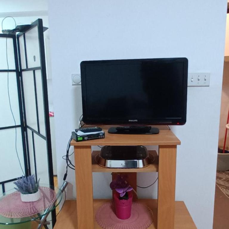 Apartman Lavanda Banja Koviljaca - Apartman sa 1 Spavaćom Sobom - 4