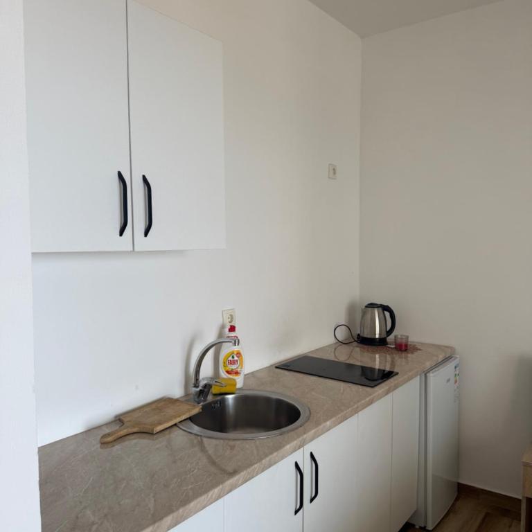 Xhan Apartments - Deluks Apartman sa 1 Spavaćom Sobom - 5
