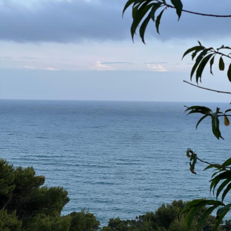 Apartment Zeneli - Apartman sa 1 Spavaćom Sobom - 14