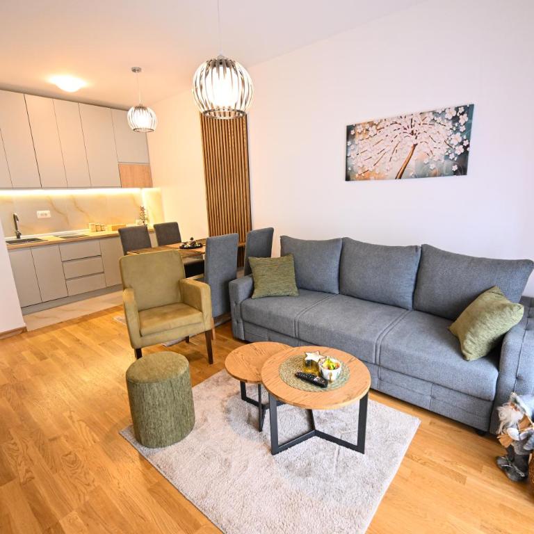 Apartman Panorama Tornik 8 - One-Bedroom Apartment - 1