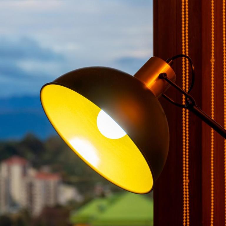 Modern apartment with ocean and volcano views, Pelluco - Apartamento de 2 dormitorios - 62