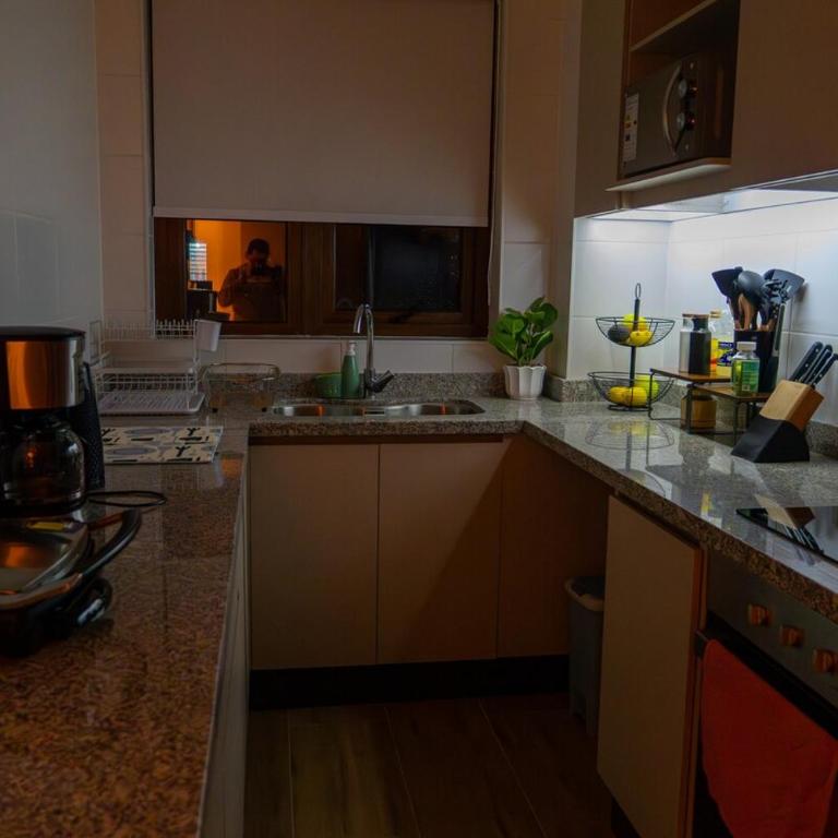Modern apartment with ocean and volcano views, Pelluco - Apartamento de 2 dormitorios - 71