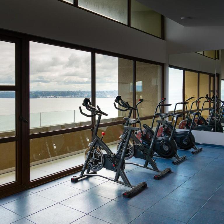 Modern apartment with ocean and volcano views, Pelluco - Apartamento de 2 dormitorios - 75