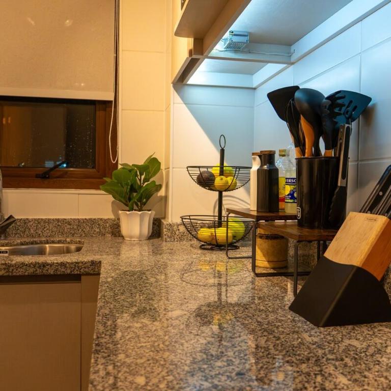 Modern apartment with ocean and volcano views, Pelluco - Apartamento de 2 dormitorios - 100