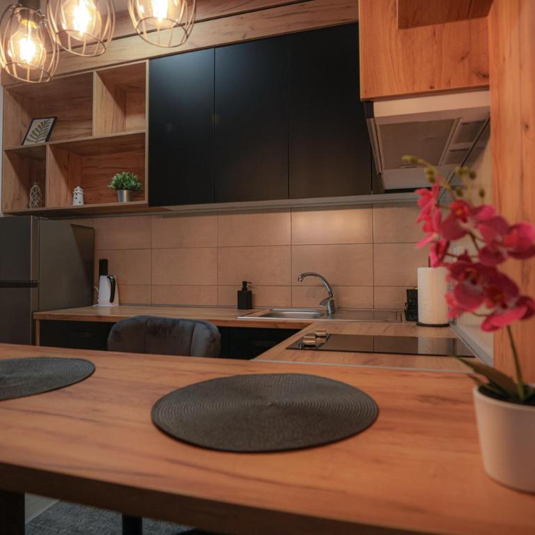 Zeus Apartman - Apartman sa 1 Spavaćom Sobom - 32