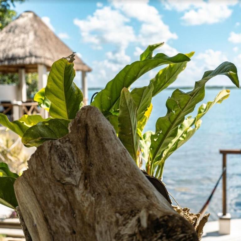 Casa Frente a la Laguna de Bacalar - One-Bedroom Villa - 2
