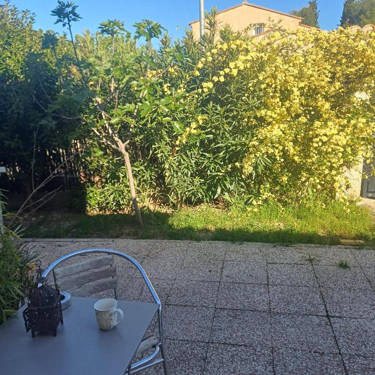 Studio cosy, terrasse, logement entier Aix-en-Provence dans maison - Appartement 1 Chambre - 8