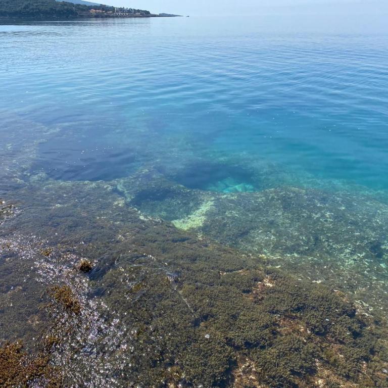 Bella Costa - Studio with Balcony - 18