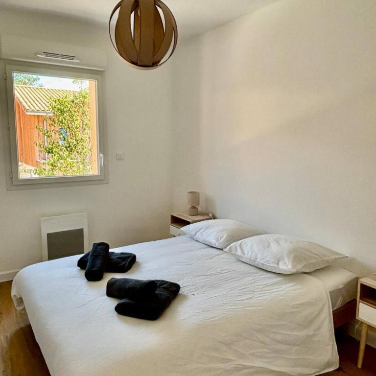 Maison neuve Lacanau à 300m de la plage sud et à proximité des golfs - Maison 3 Chambres - 8
