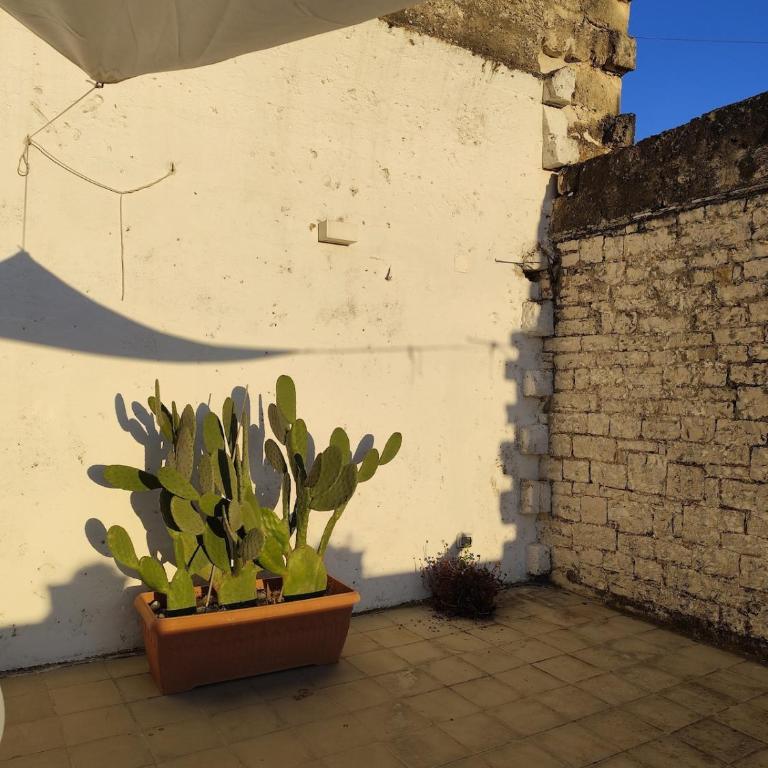 La terrazza sugli ulivi - One-Bedroom House - 4