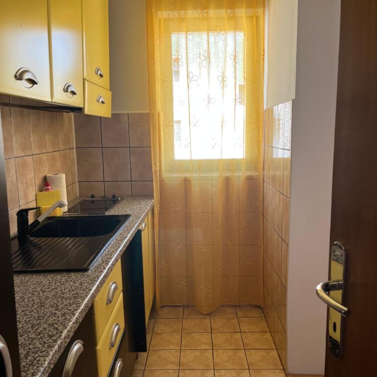 Apartman Milic - Apartman sa 1 Spavaćom Sobom - 12