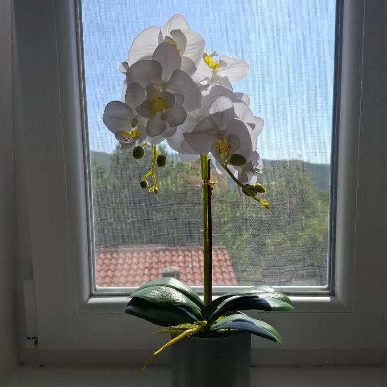 Milovic Apartman - Two-Bedroom Apartment - 24