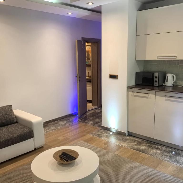 Kalemegdan park & Zoo - City center - Deluxe One-Bedroom Apartment with Garden View - 4