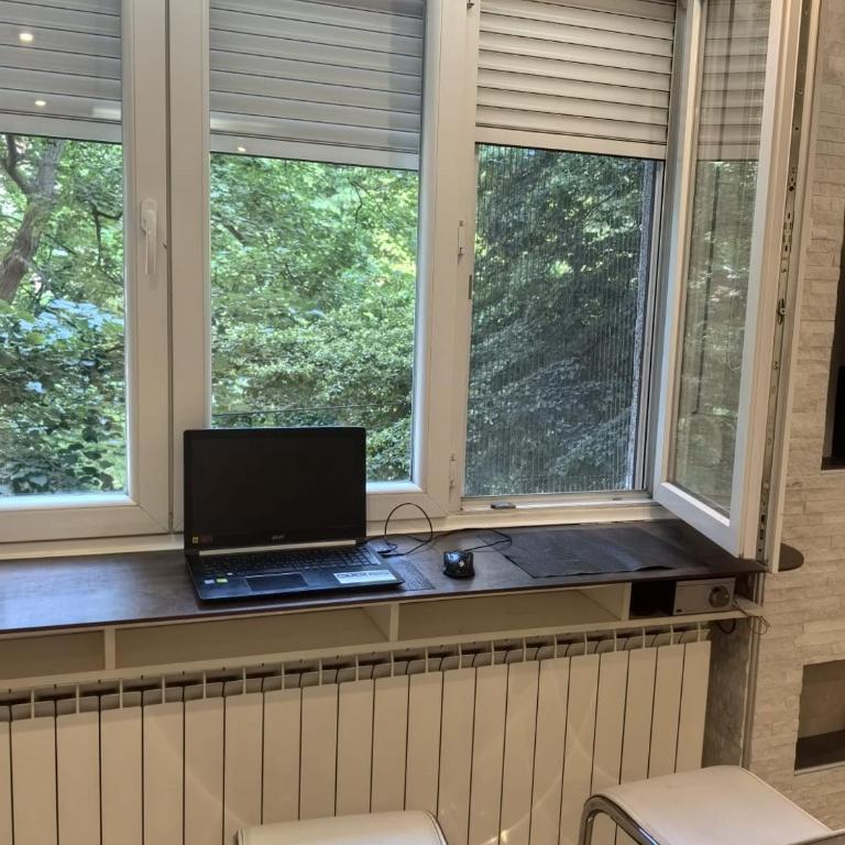 Kalemegdan park & Zoo - City center - Deluxe One-Bedroom Apartment with Garden View - 14