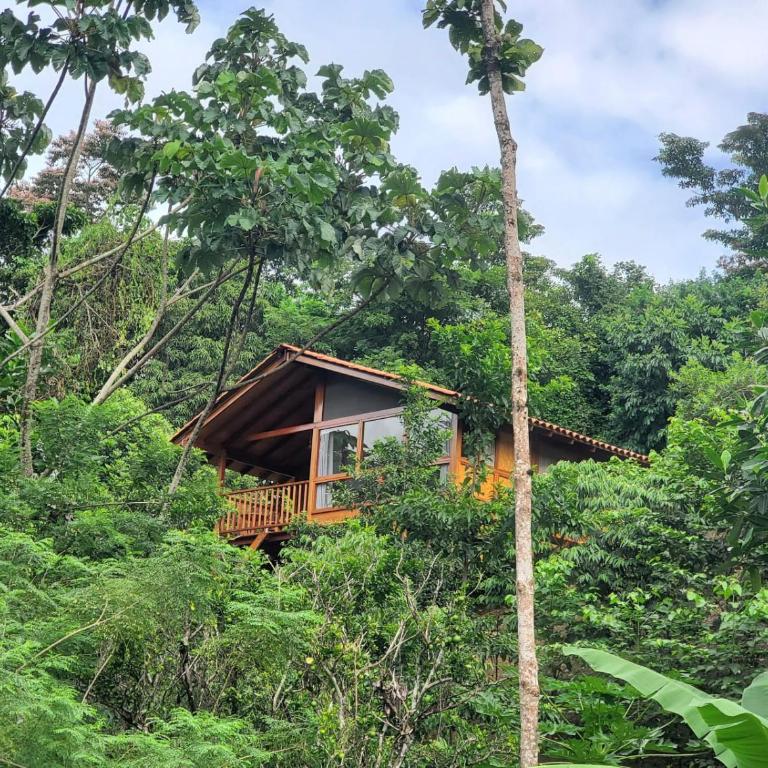 MAYU PATANPI Amazon Lodges - Deluxe Bungalow - 13