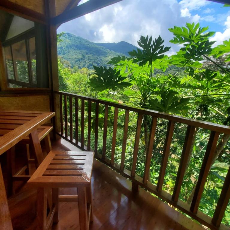 MAYU PATANPI Amazon Lodges - Family Bungalow - 36