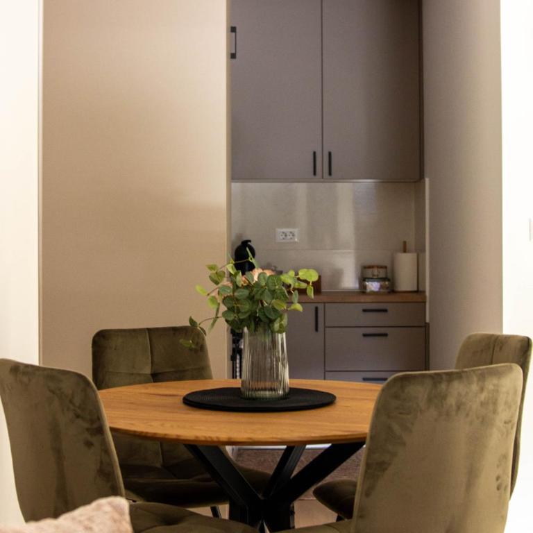 LisaMe Apartman Airport - Apartman sa 1 Spavaćom Sobom - 11