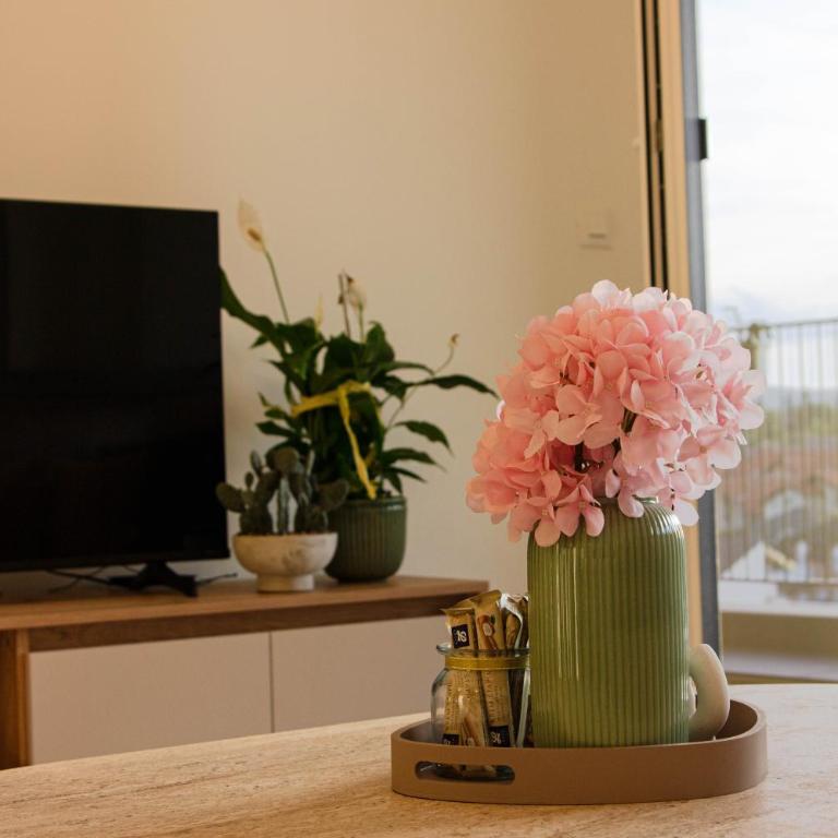 LisaMe Apartman Airport - Apartman sa 1 Spavaćom Sobom - 16